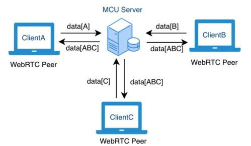 手把手教你使用webrtc